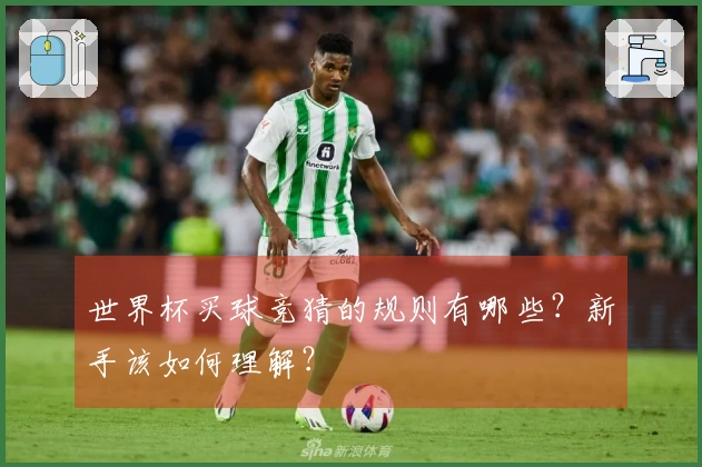 世界杯买球竞猜的规则有哪些？新手该如何理解？