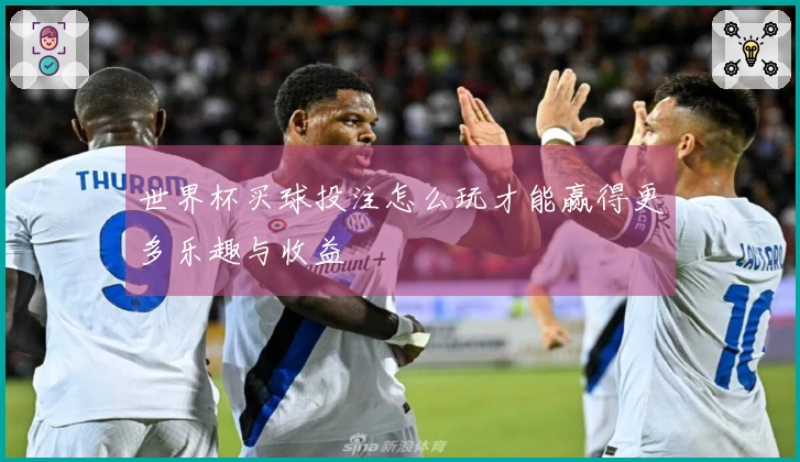 世界杯买球投注怎么玩才能赢得更多乐趣与收益