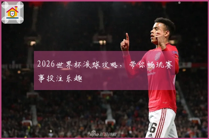 2026世界杯滚球攻略，带你畅玩赛事投注乐趣