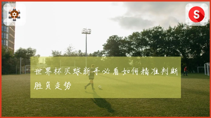 世界杯买球新手必看如何精准判断胜负走势