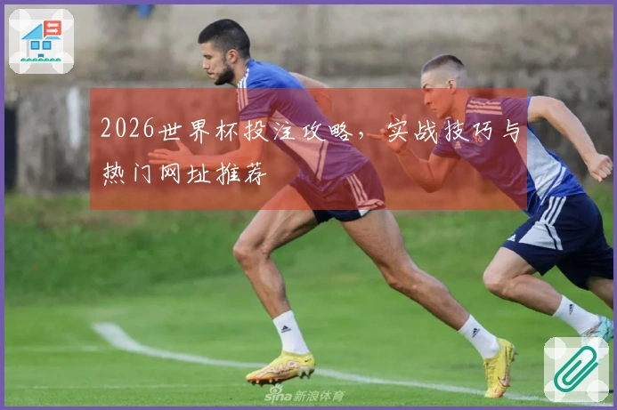 2026世界杯投注攻略，实战技巧与热门网址推荐