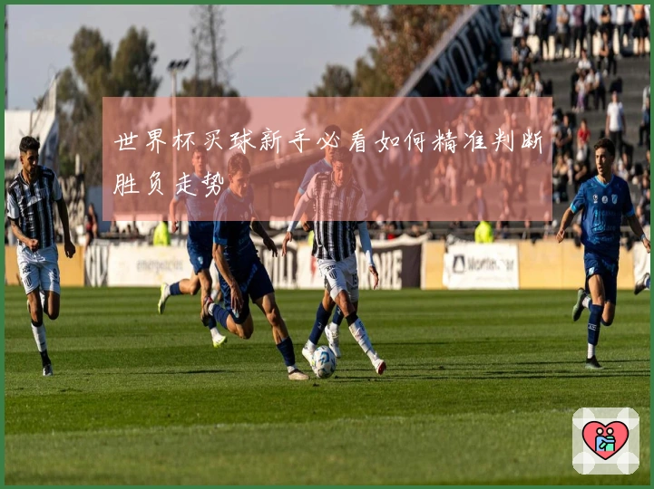 世界杯买球新手必看如何精准判断胜负走势