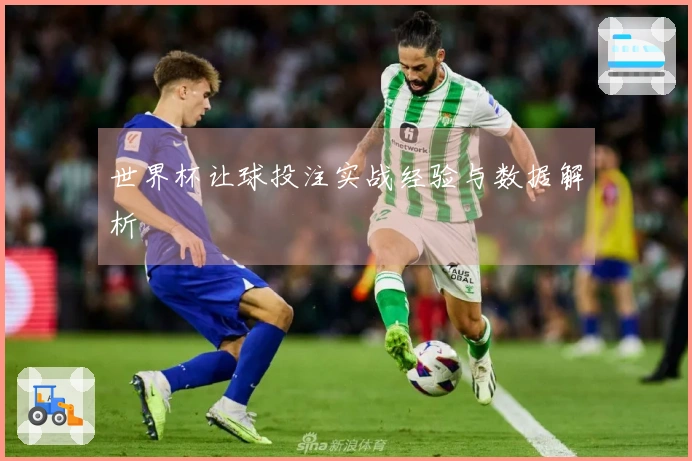 世界杯让球投注实战经验与数据解析