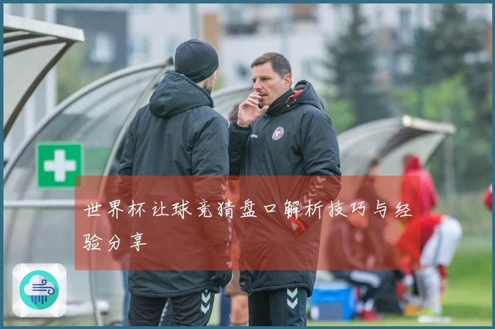 世界杯让球竞猜盘口解析技巧与经验分享